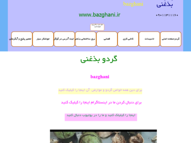 سایت bazghani.ir قدرت گرفته از سایت ساز و فروشگاه ساز پوپش